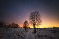 Light pollution, First Place, 2021 Contest