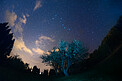 Big Dipper in Spring