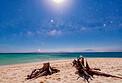 To Guard the Stars and the Sea Together