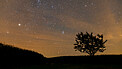 Winter Constellations